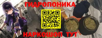 сатива Заводоуковск