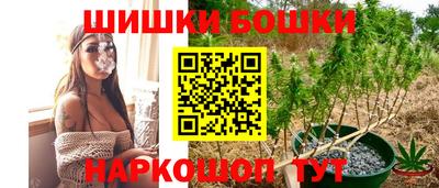 шишки Жуковский