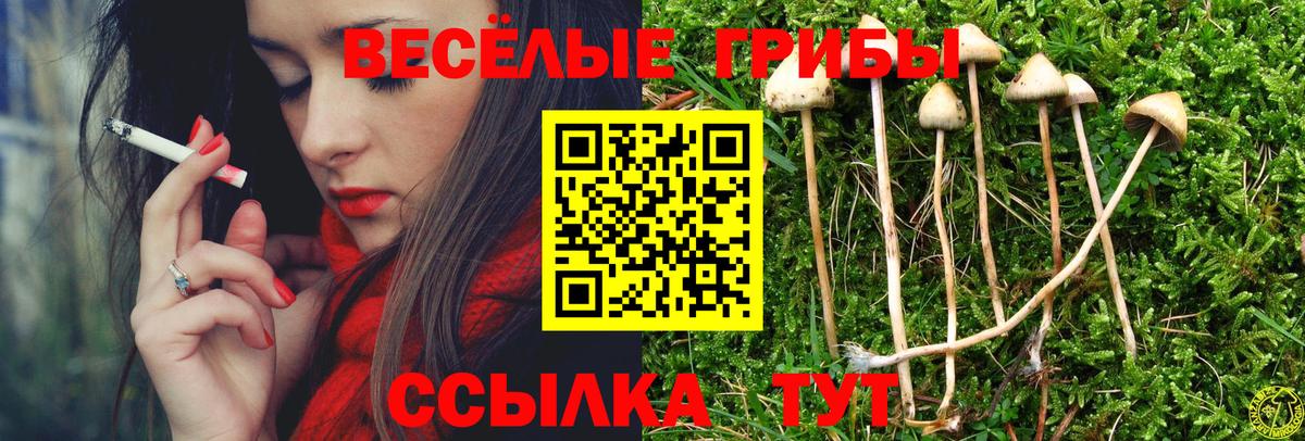 Псилоцибиновые грибы MAGIC MUSHROOMS  Вход с VPN  Михайловск 
